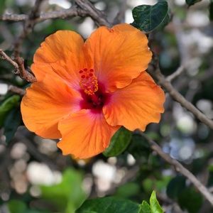 Meet your Posher, Vika